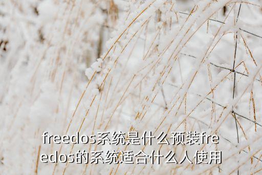 freedos系統(tǒng)是什么預(yù)裝freedos的系統(tǒng)適合什么人使用