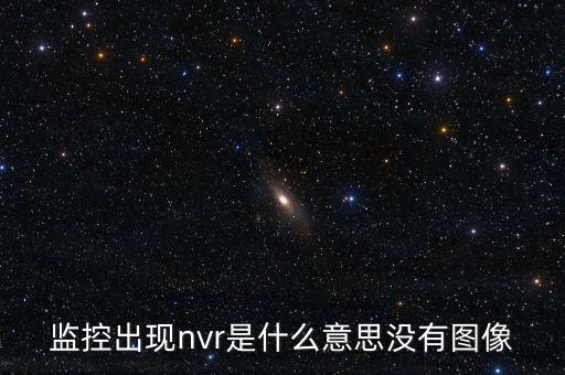 監(jiān)控出現(xiàn)nvr是什么意思沒有圖像