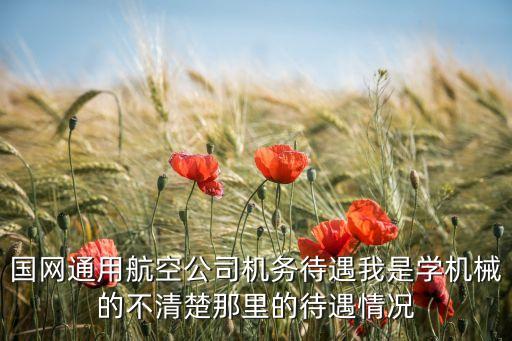 國網(wǎng)通用航空公司機(jī)務(wù)待遇我是學(xué)機(jī)械的不清楚那里的待遇情況