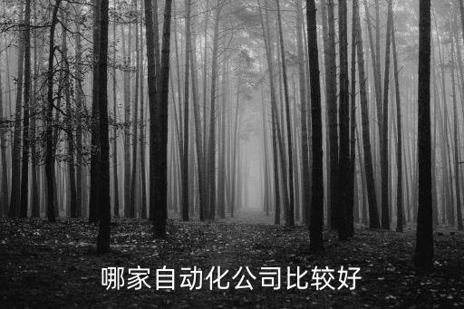 上海鴻掣自動(dòng)化科技怎么樣，上海鴻蚨網(wǎng)絡(luò)科技有限公司怎么樣