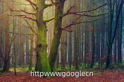 httpwwwgooglecn