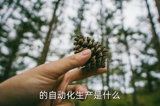 的自動(dòng)化生產(chǎn)是什么