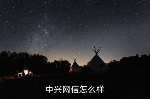 中興網(wǎng)信怎么樣