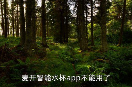 麥開，BYWERD與麥開智能水杯哪個(gè)好