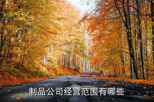 制品公司經(jīng)營范圍有哪些