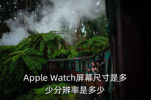 Apple Watch屏幕尺寸是多少分辨率是多少