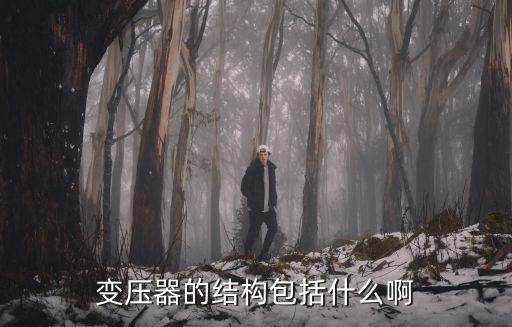 變壓器的結(jié)構(gòu)包括什么啊