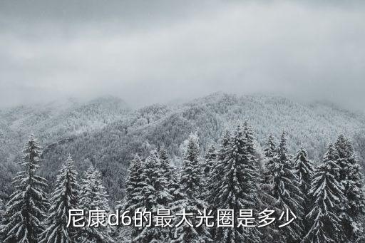 尼康d6的最大光圈是多少