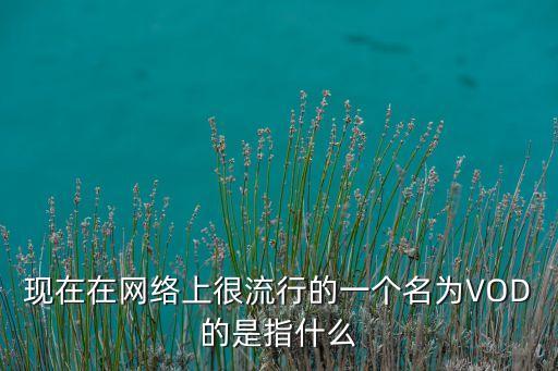 現(xiàn)在在網(wǎng)絡上很流行的一個名為VOD的是指什么