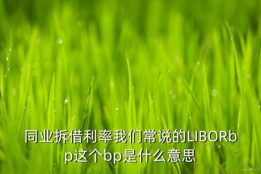 同業(yè)拆借利率我們常說的LIBORbp這個(gè)bp是什么意思