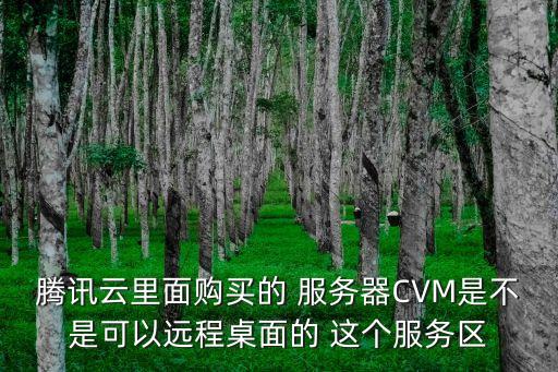 騰訊云里面購買的 服務器CVM是不是可以遠程桌面的 這個服務區(qū)