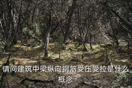 請問建筑中梁縱向鋼筋受壓受拉是什么概念