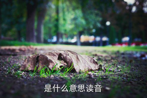 扉頁什么意思,寫扉頁什么意思