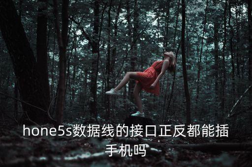 hone5s數(shù)據(jù)線的接口正反都能插手機(jī)嗎