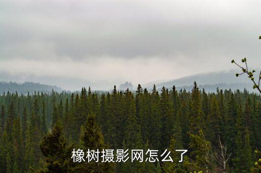 橡樹攝影網(wǎng)怎么了