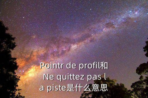 Pointr de profil和 Ne quittez pas la piste是什么意思
