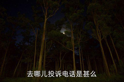 去哪兒投訴電話是甚么