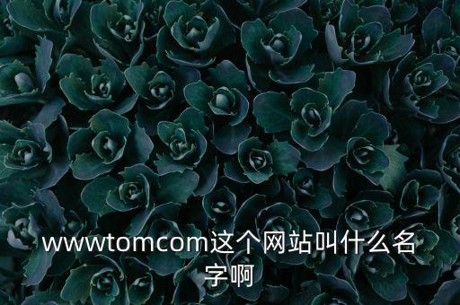 wwwtomcom這個(gè)網(wǎng)站叫什么名字啊