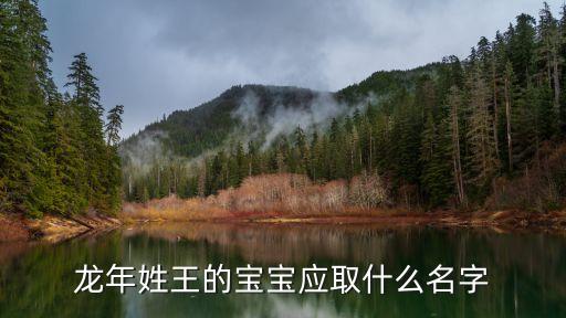 龍年姓王的寶寶應(yīng)取什么名字