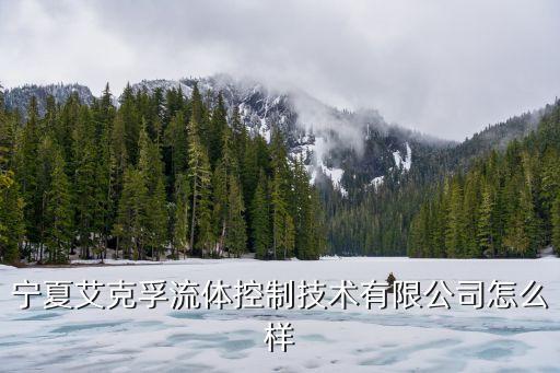 寧夏艾克孚流體控制技術(shù)有限公司怎么樣