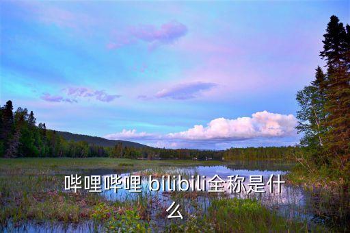 嗶哩嗶哩 bilibili全稱是什么