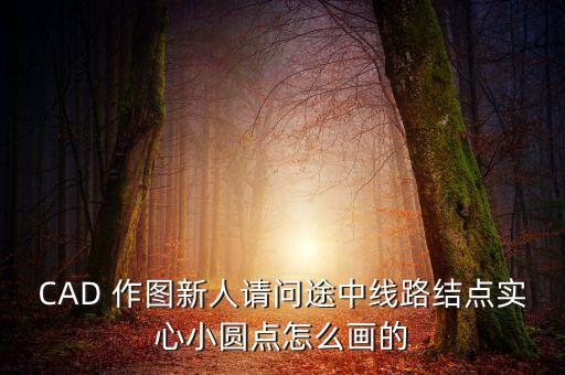 CAD 作圖新人請問途中線路結(jié)點實心小圓點怎么畫的
