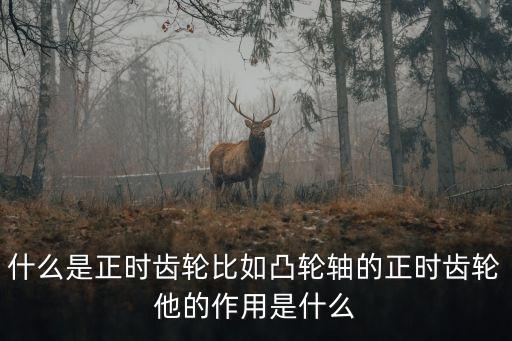 什么是正時(shí)齒輪比如凸輪軸的正時(shí)齒輪他的作用是什么