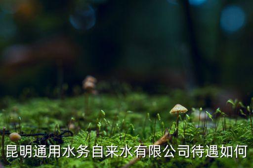 昆明通用水務(wù)自來水有限公司待遇如何