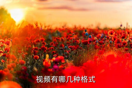 視頻格式，視頻格式有哪些分類