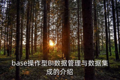 bi 數(shù)據(jù)庫(kù)安全,電力商業(yè)智能數(shù)據(jù)庫(kù)