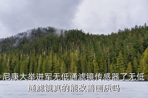 尼康大舉進(jìn)軍無低通濾鏡傳感器了無低通濾鏡真的能改善畫質(zhì)嗎