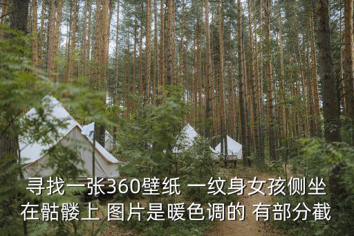 尋找一張360壁紙 一紋身女孩側(cè)坐在骷髏上 圖片是暖色調(diào)的 有部分截