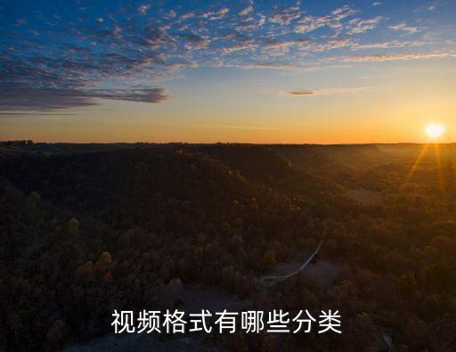 視頻格式有哪些分類