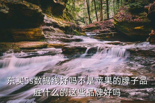 品勝蘋果5s數(shù)據(jù)線好嗎,蘋果線品勝和綠聯(lián)哪個(gè)好?