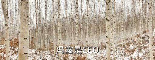 馮鑫是CEO