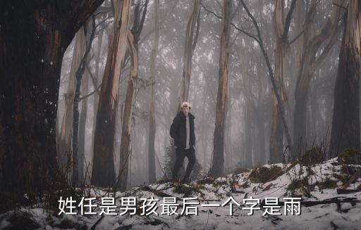 姓任是男孩最后一個字是雨