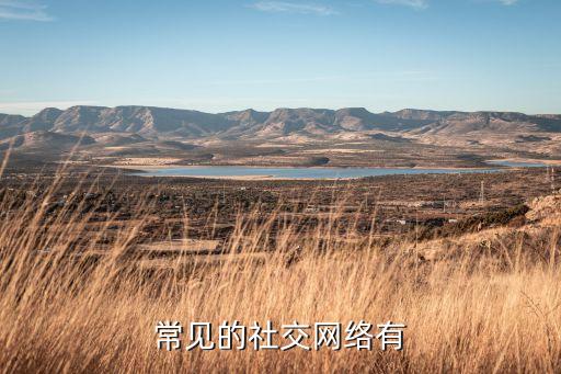 常見的社交網(wǎng)絡(luò)有