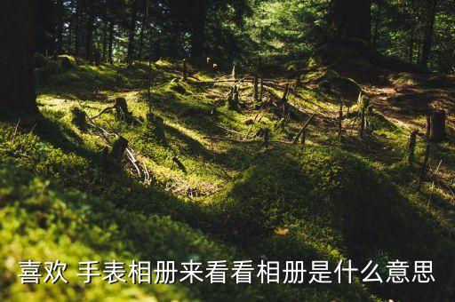 手表照片,萬國5023883手表照片