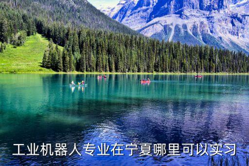寧夏工業(yè)自動(dòng)化有限公司,工業(yè)機(jī)器人專業(yè)在寧夏哪里可以實(shí)習(xí)