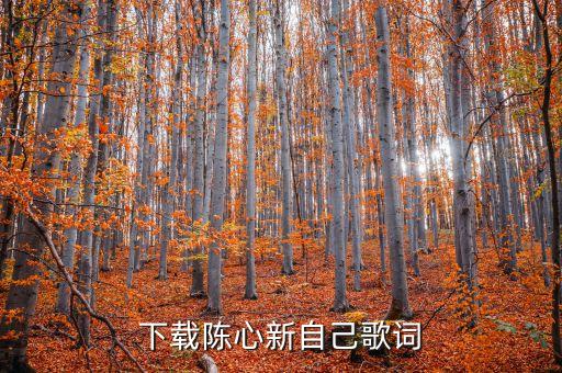 陳心，下載陳心新自己歌詞