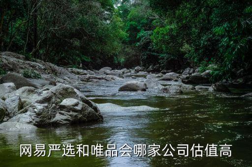 網易嚴選和唯品會哪家公司估值高