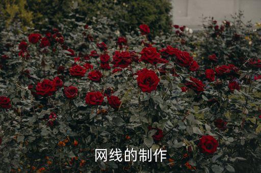網(wǎng)線的制作