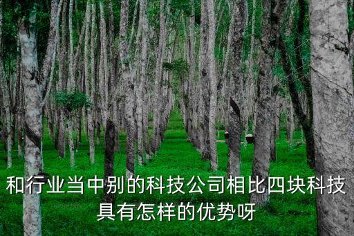 雄岸科技，四塊科技到目前為止取得了融資資格了嗎