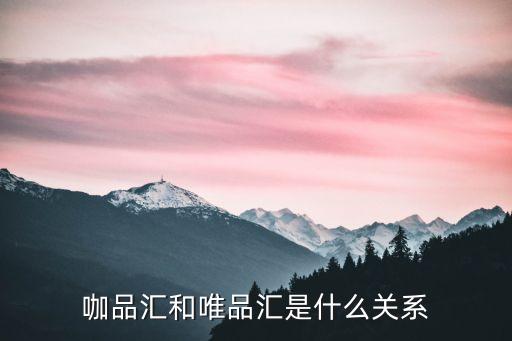 咖品匯和唯品匯是什么關(guān)系