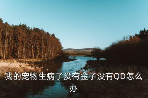 我的寵物生病了沒有金子沒有QD怎么辦