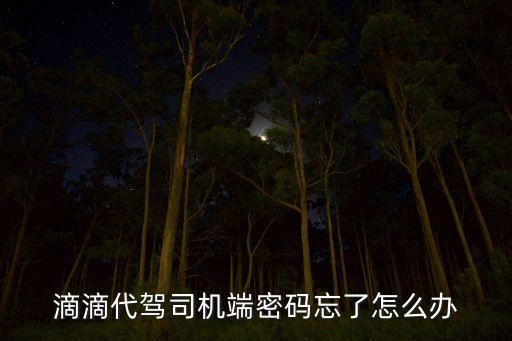 滴滴代駕司機端密碼忘了怎么辦