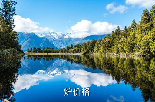 鍋爐自動化設(shè)備價(jià)格,浴池鍋爐設(shè)備價(jià)格