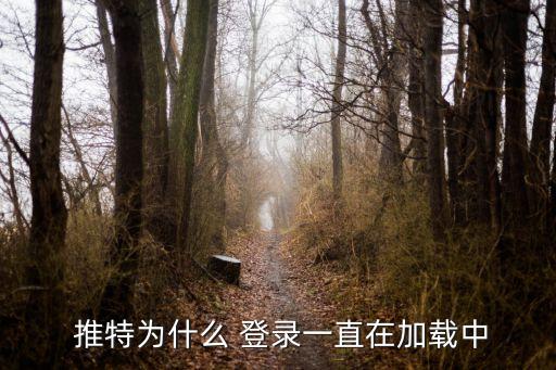  推特為什么 登錄一直在加載中