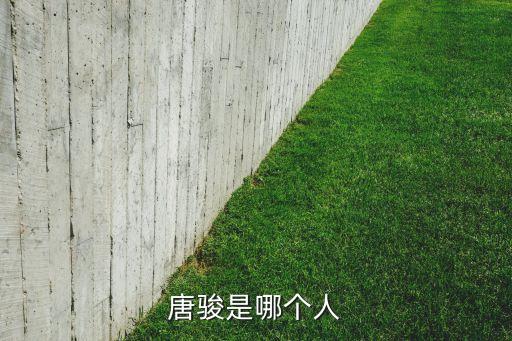 唐駿是哪個人