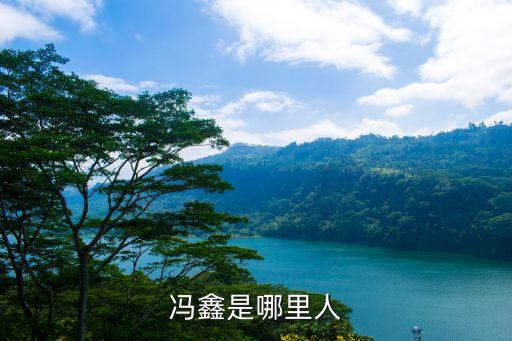 馮鑫是哪里人